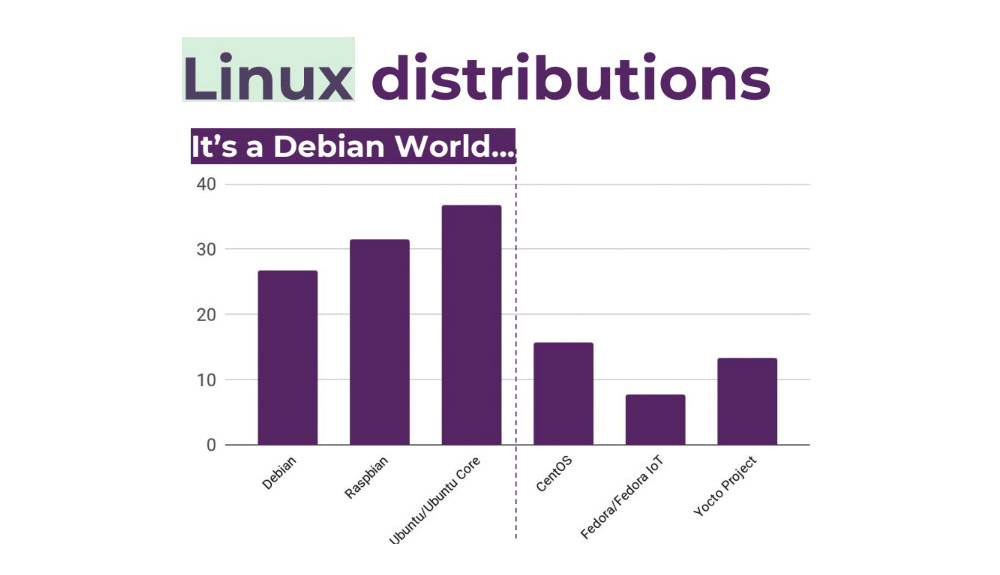 2019 IOT linux survey