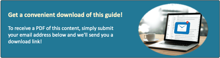 Download the Guide to Choosing a Software Development Partner