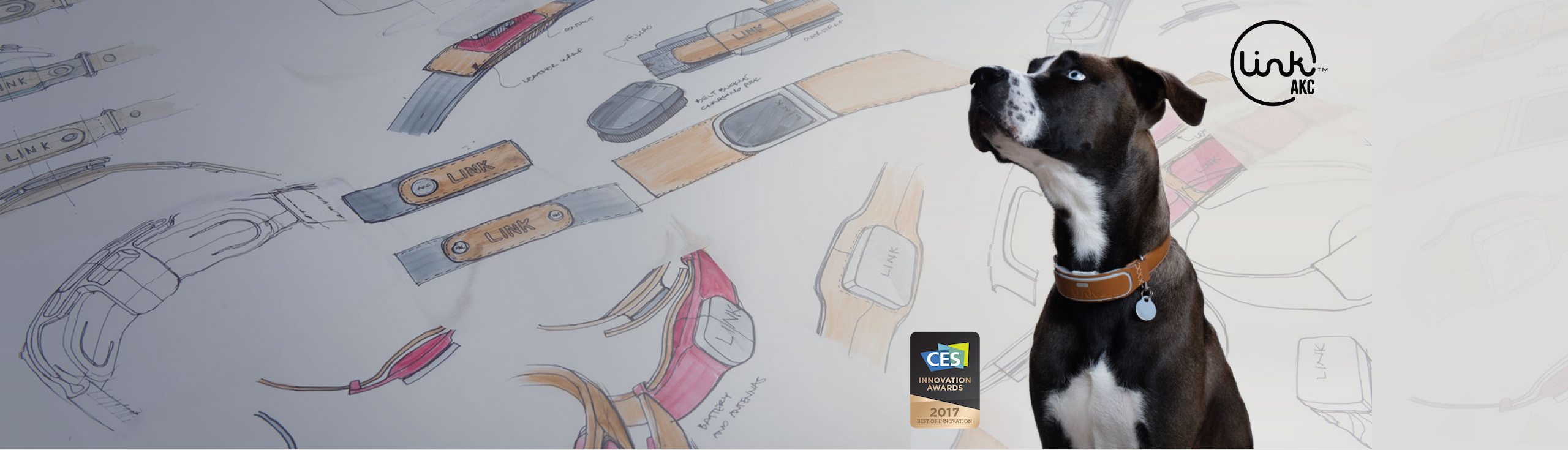 The Smart Dog Collar - An IoT Innovation for Pets