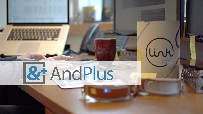 check the post:Staff and Skill Augmentation the AndPlus Way for a description of the image 